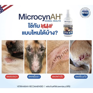 สเปรย์​ Microcyn skin care เชื้อ​แบคทีเรีย​ เชื้อรา​ ไวรัส กระตุ้น​การ​หายของ​แผล  ขนาด20ml  ของแท้100%