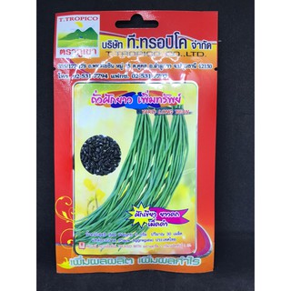 เมล็ดพันธุ์ ถั่วฝักยาว เพิ่มทรัพย์  ( YARD LONG BEAN) ตราภูเขา