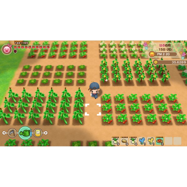 Nintendo Switch : Story of Seasons Friends of Mineral Town [แผ่นแท้] [มือ1] [Season Friend]