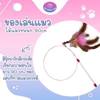 แหล่งขายและราคา[ ABC cat ] ไม้ล่อแมว ไม้ตกแมวยาวสุดขนนก ไม้แมว ยาวสุด  ยาว 90ซม. ของเล่นแมวอาจถูกใจคุณ