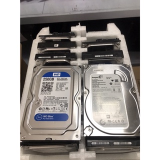 PC HDD 250GฺฺB มือสองสภาพดี Hard Disk คละยี่ห้อ พร้อมส่งมีประกัน