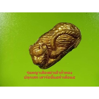 สำนักเณรดอยเมืองตรัง รุ่นพญาเสื_อเฒ่าเฝ้าถ้ำทองปลุกเสก เสาร์๕ขึ้น๕ค่ำเดือน๕ปี63 รับประกันแท้ เณรดอยเมืองตรัง