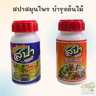 สปาสมุนไพรบำรุงต้นไม้