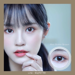 😻Mini Primo Brown ตาใสแบ๊วมีน้ำมีนวล👁✨ ทักแชทเพื่อเช็คสินค้าก่อนสั่งซื้อ (ทั้งสายตาปกติ,สายตาสั้น)‼️