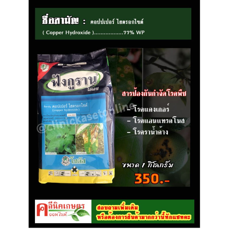 ฟังกูราน 1 กิโลกรัม โซตัส คอปเปอร์ไฮดรอกไซด์ สูตรทนฝน ยาเชื้อราในพืช ยากำจัดเชื้อรา โรคแคงเกอร์ แอนแทรคโนส