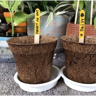 Starter Kit - ชุดปลูกเริ่มต้น มือใหม่ก็ปลูกได้🌱(เหมาะปลูกเอง)