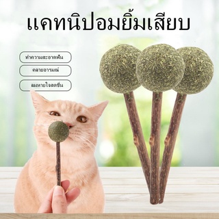 catnip แคทนิปอมยิ้มเสียบไม้มาทาบิสมุนไพรแมวฟินแคทนิปแมวกัญชาแมว(ของเล่นแมว)​ XJ44