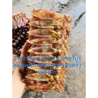 ปลาหมึกแห้ง แพขนาด 🦑 100dรัม-500กรัม แกะตา สดใหม่จากแหล่งผลิต ถูกที่สุด ราคาส่ง