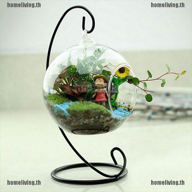 HOME1X 23 ซม.9" ที่วางขาตั้งต้นไม้เหล็กสําหรับแจกันแก้วใสบ้าน