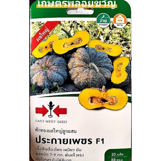 เมล็ดพันธุ์ ฟักทอง ตราศรแดง ฟักทองประกายเพชร🍊สิ้นอายุ09/03/2567🍊ฝักทองลูกผสม🍎บรรจุ 20 เมล็ด