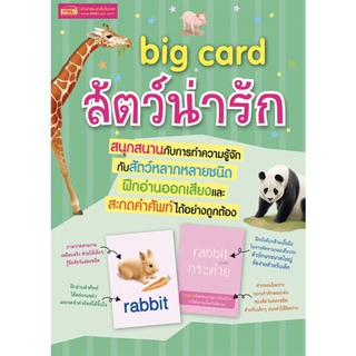 BIG CARD สัตว์น่ารัก ( Animals ) ขนาด 24x32.5 ซม บัตรคำ ใหญ่ แฟลช การ์ด flash card MIS 3G