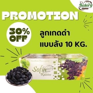 ลูกเกดดำ ยี่ห้อ โซเฟีย (sofia raisins) ยกลัง 10 Kg. ลูกเกด