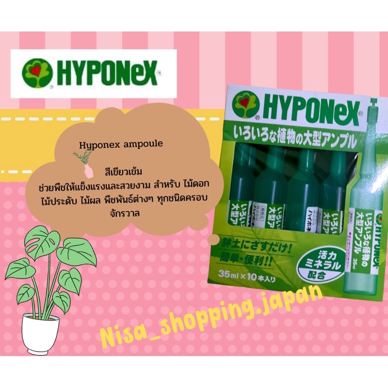 ปุ๋ยปัก Hyponex ampoule สีเขียวเข้ม ปุ๋ยนำเข้าจากญี่ปุ่น