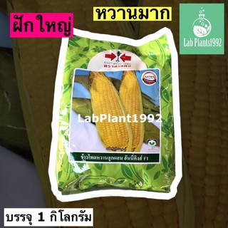 ข้าวโพดหวานฮันนี่คิงส์ศรแดง1กิโลกรัม🌽ขายดี ‼️