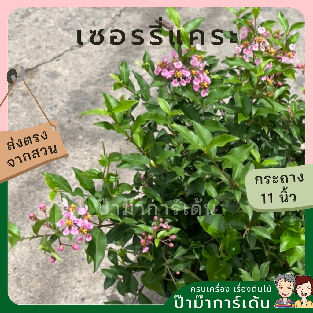 มุมมอง 2