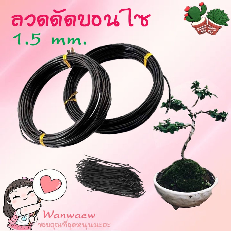 พร้อมส่ง ลวดดัดบอนไซ ขนาด 1 / 1.5 / 2 mm. 100 กรัม ลวดดัดต้นไม้ ลวดอลูมิเนียม คุณภาพดี ดัดง่าย ลวดดัด