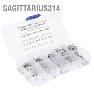 Sagittarius314 200pcs Stainless Steel Flat Point Hex Socket Grub Screw for Precise Instrument M3/M4/M5/M6/M8