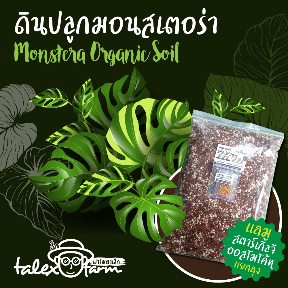 ดินปลูกมอนสเตอร่า ฟิโลเดนดรอน พลู เบอร์กิ้น ไม่ต้องผสมอะไรเพิ่มใช้ได้ทันที