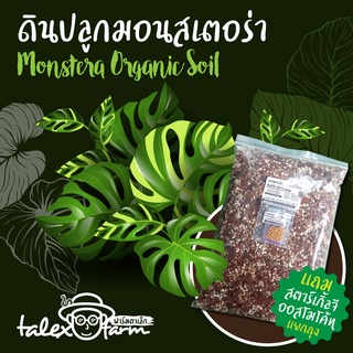 ดินปลูกมอนสเตอร่า ฟิโลเดนดรอน พลู เบอร์กิ้น ไม่ต้องผสมอะไรเพิ่มใช้ได้ทันที