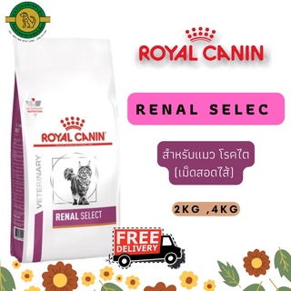 Renal Select Royal Canin แมวโรคไต อาหารแมวโรคไตสำหรับแมวกินยาก