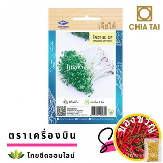 เมล็ดอวบอ้วน100%เมล็ดพันธุ์ ไควาเระ 01 ตราเจียไต๋ Radish Sprout ต้นอ่อนงอกเมล็ดพันธุ์RoseFlowerMarigoldWhiteSunFlowerCos