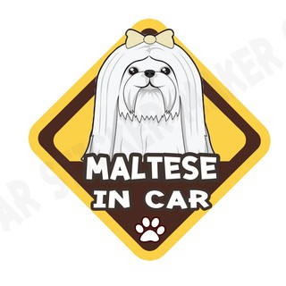 สติกเกอร์ติดรถ สติ๊กเกอร์ติดรถยนต์ สติกเกอร์หมา DGA137  Maltese dog