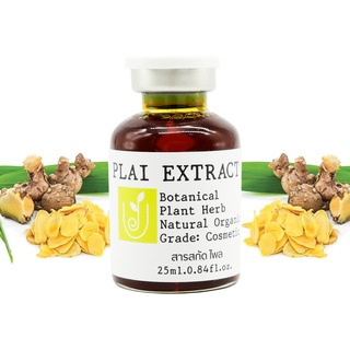 สารสกัดไพร สารสกัดธรรมชาติ ออร์แกนิค บำรุงผิว Plai Extract 25กรัม