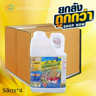 (ยกลัง4แกลลอน)สปีดไบด์ 5ลิตร อาหารพืชสูตรอะมิโนคีเลทเข้มข้น (EDTA) ใบเขียวเข้ม ใบหนา ต้นแข็งแรง ขยายผล เร่งการแตกใบอ่อน