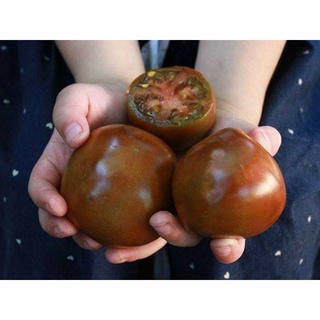 เมล็ดพันธุ์มะเขือเทศ แบล็ค พรินสซ์  Black Prince Tomato  เมล็ดพันธุ์แท้ ราคาถูก นำเข้าจากต่างประเทศ