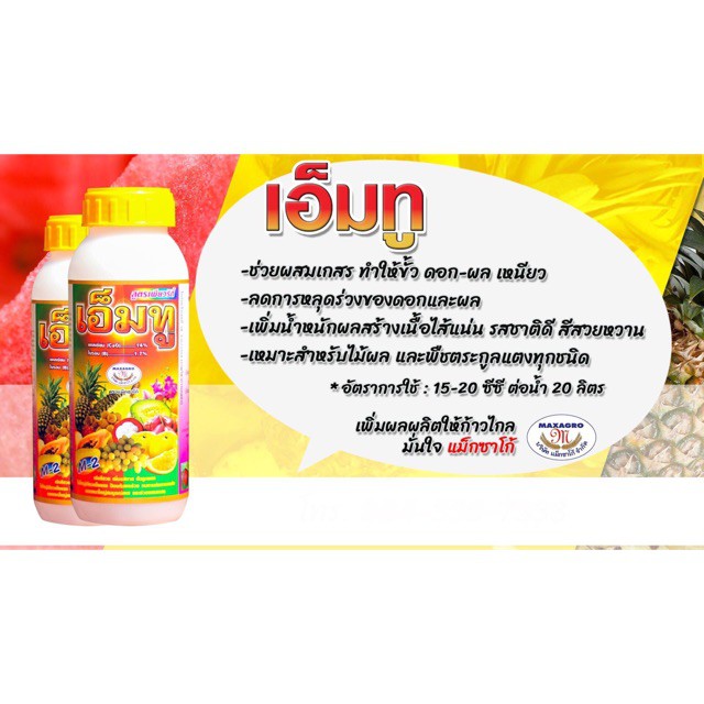 เอ็มทู 1 ลิตร ช่วยติดผลดกใบเขียวเนื้อแน่น 1 ขวด