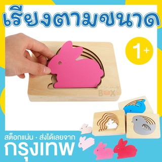 เกมเรียงขนาด ของเล่นไม้ต่างขนาด (sorting puzzle)