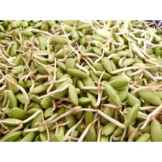 ลูกเหรียงเพาะ (สด) เพาะใหม่ สด สะอาด ใช้ประกอบอาหาร 500 กรัม