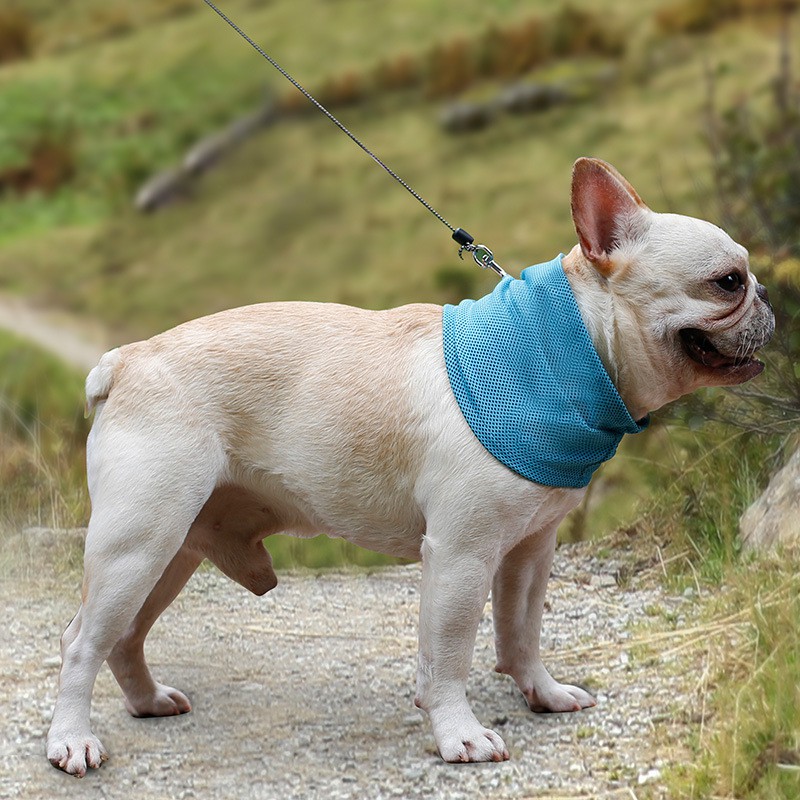 ปลอกคอเย็นสำหรับสุนัข Dog Cooling Badana ปลอกคลายร้อน ปลอกคอระบายอากาศ ผ้าเย็นสุนัข ผ้าผันคอสุนัขแบบ