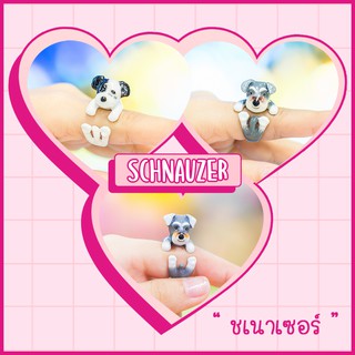 Ring / แหวน : Schnauzer / ชเนาเซอร์