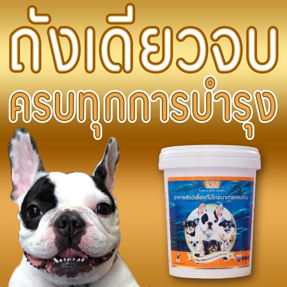 💥สินค้าส่งไว💥อาหารสุนัข วีแคร์ยู รูปที่ 3