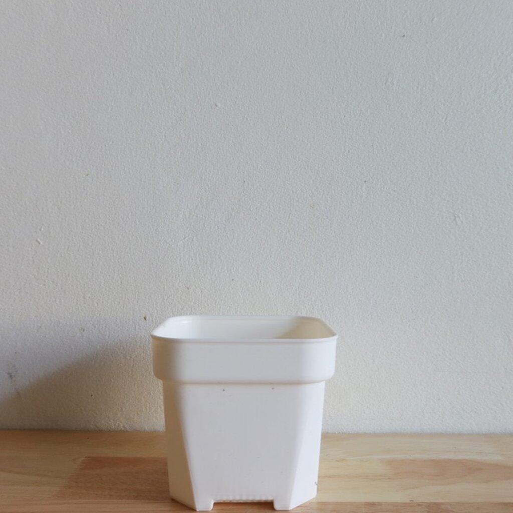 มุมมอง 2