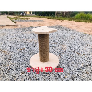 เสาฝนเล็บเเมวโต12cm(มีบริการเก็บเงินปลายทาง)
