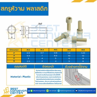 สกรูหัวจมพลาสติก M6,M8 เกลียวตลอด