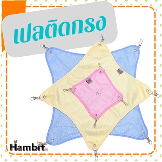 Hambit. เปลกระรอกติดกรง เปลชูการ์ไกรเดอร์ เปลดอร์เมาส์