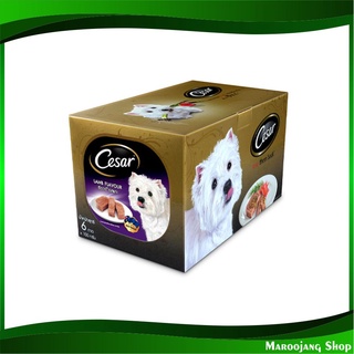 มัลติแพ็ค อาหารสุนัขชนิดเปียก รสเนื้อแกะ 100 กรัม (6แพ็ค) ซีซาร์ Cesar Multipack Dog Food Lamb อาหารสำหรับสุนัข อาหารหมา