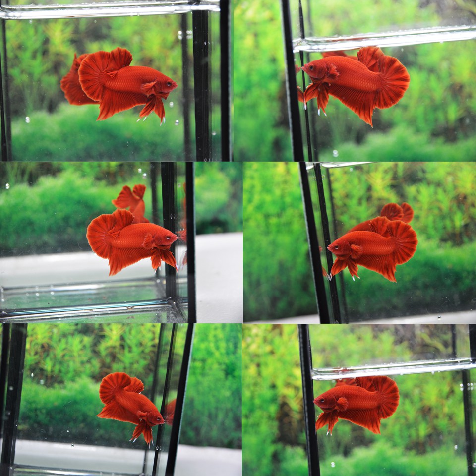 รูปภาพ 7