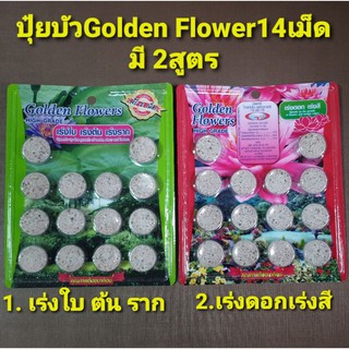 ปุ๋ยบัว Golden Flowers 14เม็ด (มี2สูตร 1.เร่งใบต้นราก 2.เร่งดอกเร่งสี) ปุ๋ยบัว ปุ๋ยไม้น้ำ ปุ๋ยบอนสี