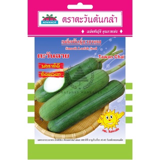 เมล็ดพันธุ์ บวบหอม ตะวันฉาย 2 กรัม/ซอง ตราตะวันต้นกล้า