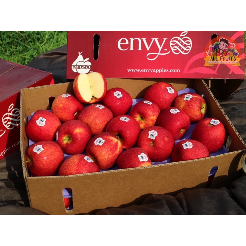 แอปเปิ้ลเอ็นวี้ Apple envy New Zealand . หวานกรอบฉ่ำๆ ส่งไวทันใจ