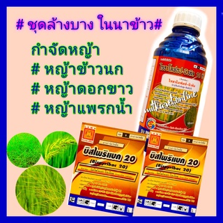 ชุด เก็บหญ้าในนาข้าว ยาฆ่าหญ้าในนาข้าว ไซฮาโลฟอบ 1 ลิตร+ บิสไพริแบค 100 กรัม 2 กล่อง หญ้าข้าวนก หญ้าลิเก หญ้าแพรกน้ำ