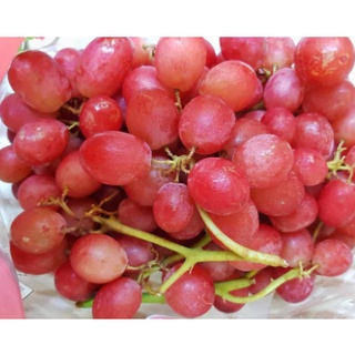 TOP-1องุ่นแดงไร้เมล็ด (1แพค/1กก.) Premium Red Grape (AUS/USA) ~ลดพิเศษ~ ก้านเขียว หวาน (องุ่นไร้เม็ด องุ่นนอก องุ่นสด)