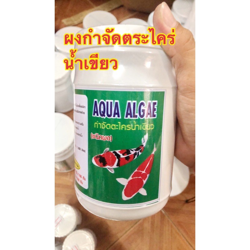 My Image 40