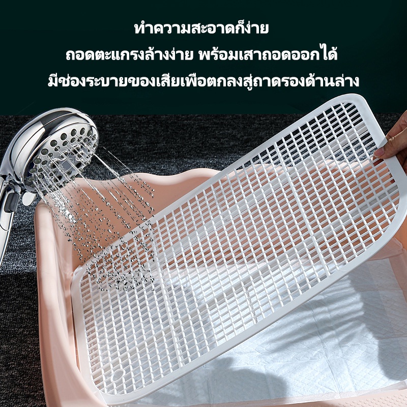 รูปภาพ 4