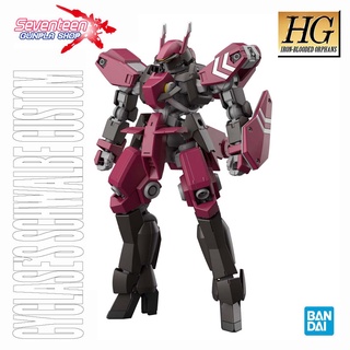 Bandai High Grade CYCLASES SCHWALBE CUSTOM (HG IBO)