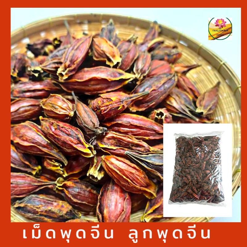 เม็ดพุดจีน เม็ดพุด ลูกพุดจีน กีจี้ สำหรับทำน้ำเก๊กฮวย ขนาด 150 กรัม